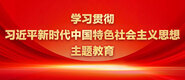 美女被操网站大全学习贯彻习近平新时代中国特色社会主义思想主题教育_fororder_ad-371X160(2)